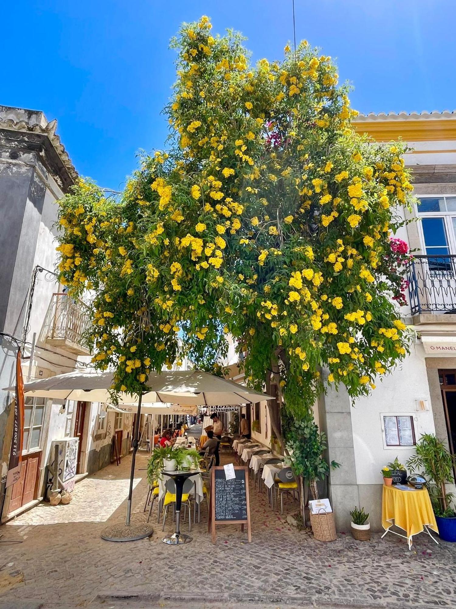 B&B Quinta A Fonte Tavira - Adults Only Exterior foto